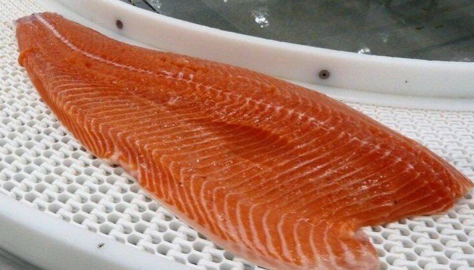 Filete de salmón Atlántico.