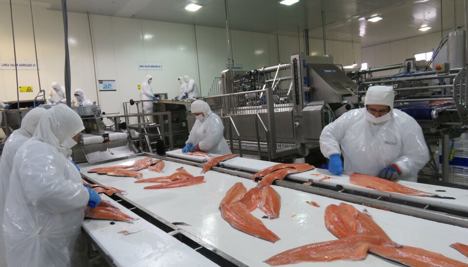 Planta de proceso de salmón.