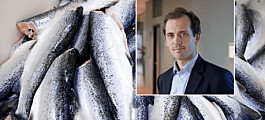 Precios del salmón mucho más altos que lo esperado por analistas