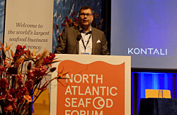 Predicen que precios del salmón noruego se mantendrán altos durante 2020