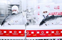 Salmonicultora chilena es nuevamente reconocida en ranking de sustentabilidad