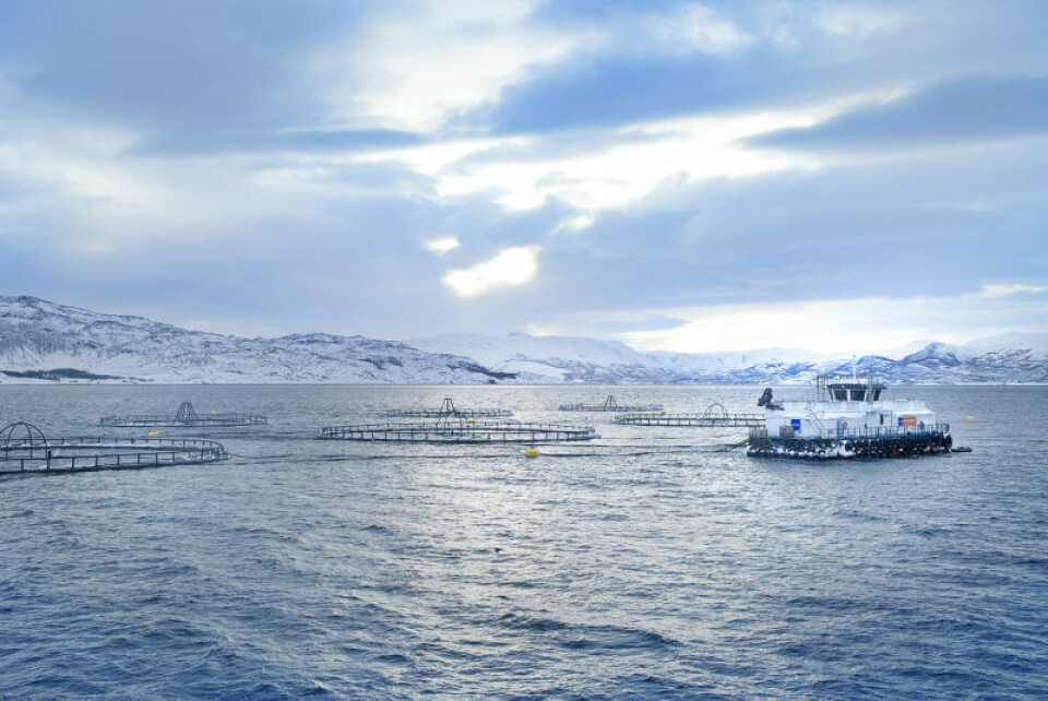 Ubicación Fartøyvika se encuentra en Snefjord, al este de Hammerfest, en el oeste de Finnmark, Noruega. Foto: NRS.