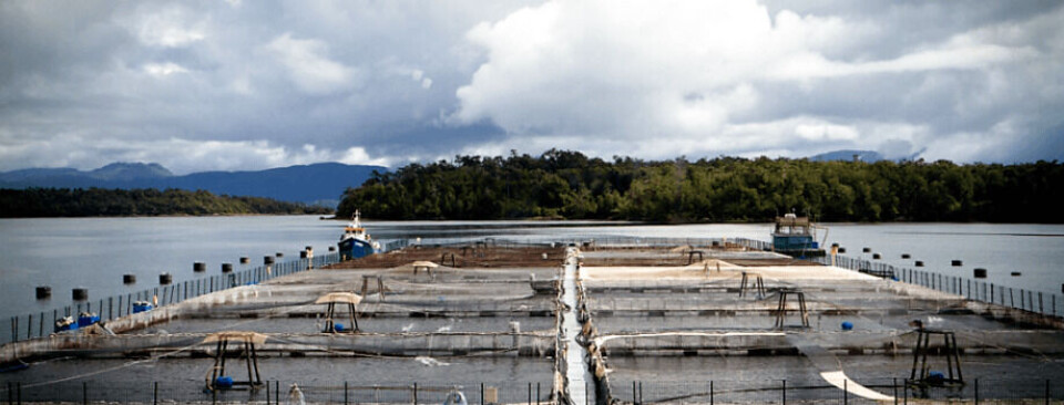 Imagen referencial de centro de cultivo. Foto: Friosur.