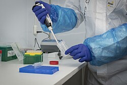 Salmonicultoras utilizan test rápido para detección de coronavirus de Kura Biotech