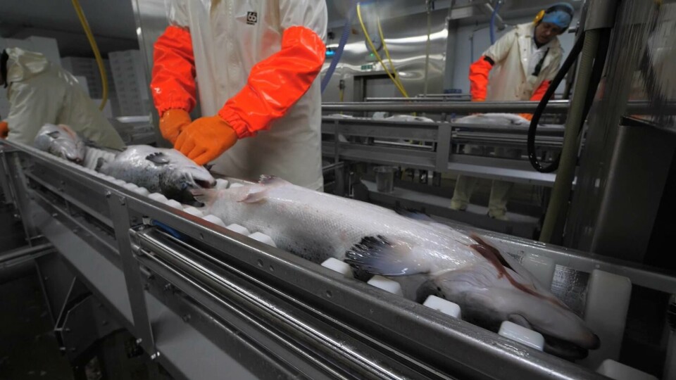 Foto tomada del video de Scottish Salmon Company de su instalación de procesamiento primario Cairndow.