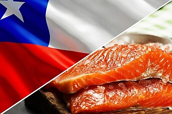 ¿Cómo podría beneficiar el nuevo impuesto noruego a la salmonicultura chilena?