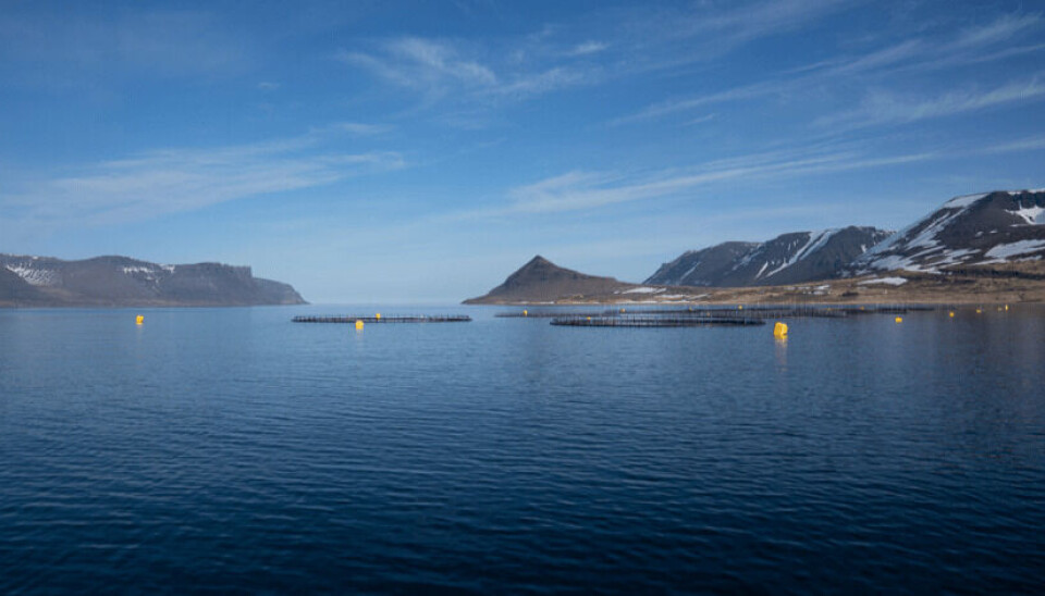 Productor de salmón recauda millonaria suma de dinero para expansión