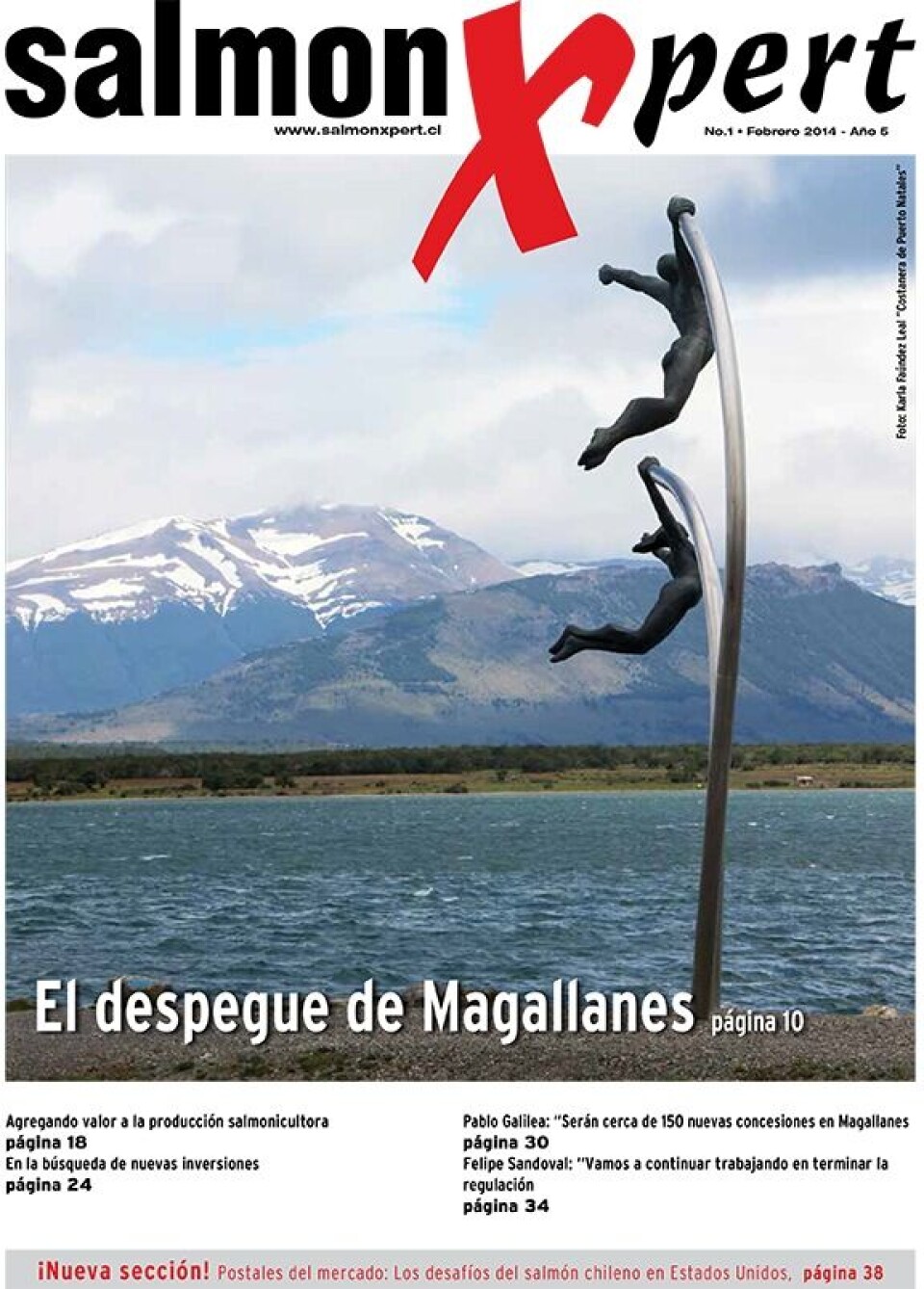 Primera edición 2014 de revista SalmonXpert aborda expansión salmonicultora en Magallanes