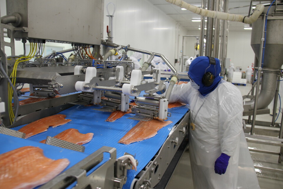 Planta de proceso de salmón Entrevientos, operada por Blumar y Multiexport Foods en la región de Magallanes. Foto: Blumar.