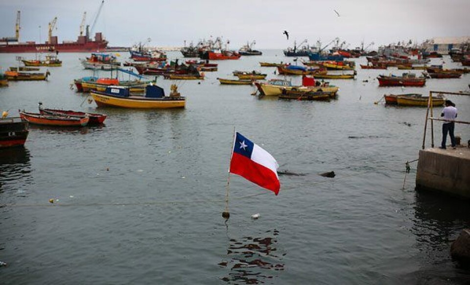 Principales recursos pesqueros seguirán quedando en mar chileno