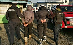 Prisión preventiva para imputados por robo de salmones en centro de cultivo