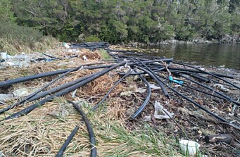 Salmonicultores y pescadores artesanales se unen para limpiar residuos en Seno Elisa