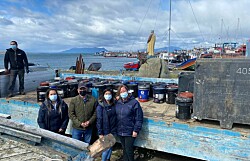 Salmonicultores y pescadores artesanales se unen para resolver problema medioambiental
