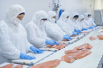 Salmonicultura promueve propuestas formativas y reconocimientos laborales