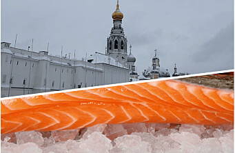 ¿Cómo marchan las exportaciones de salmón chileno a Rusia?