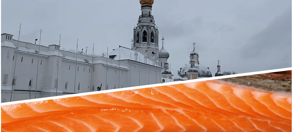 Trucha de Turquía e Irán gana terreno al salmón chileno en Rusia