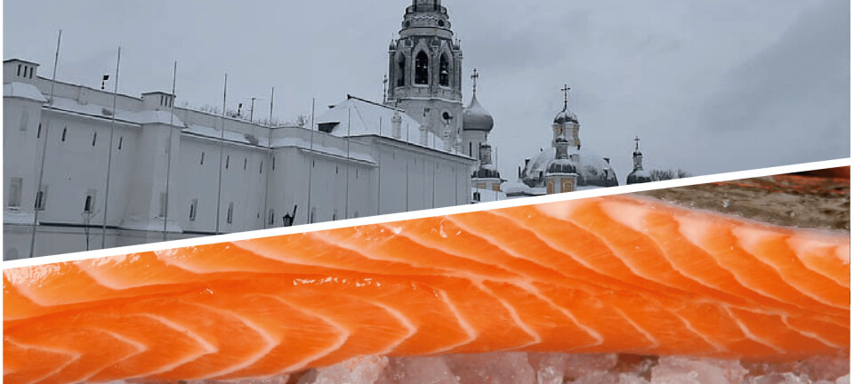 Autoridades trabajan para evitar que Rusia prohíba importaciones de salmón chileno