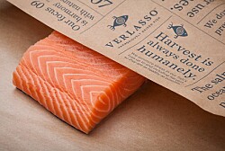 Producción de salmón premium chileno será carbono neutral