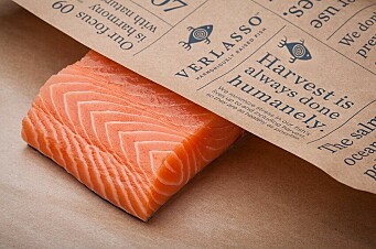 Producción de salmón premium chileno será carbono neutral