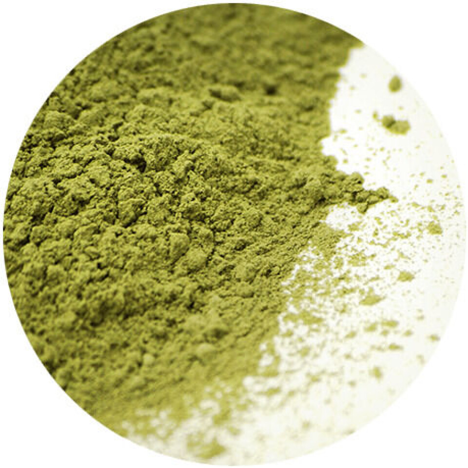 Futerpenol es un aditivo no farmacológico, con moléculas bioactivas botánicas y algales. Su presentación es en polvo para ser incorporado en el alimento o en forma de premix. Imagen: MNL Group.