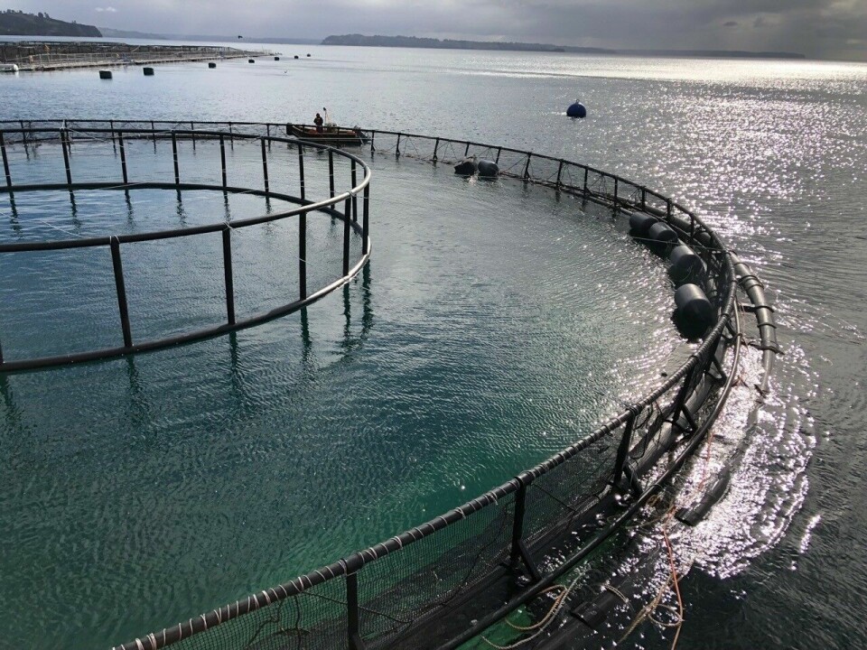 Primera balsa jaula sumergible para acuicultura oceánica en Chile. Foto: EcoSea Farming.