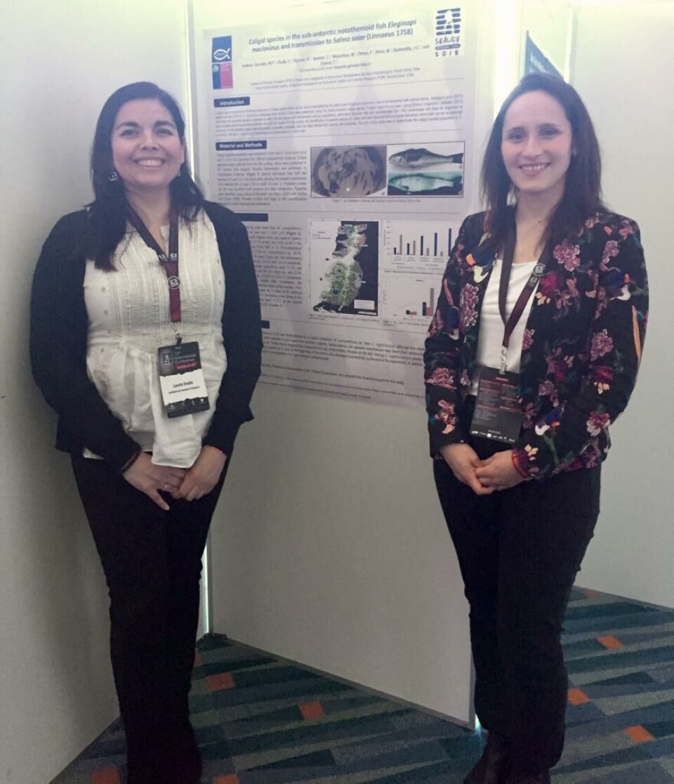 Representantes de IFOP en Conferencia Sea Lice 2018. Imagen: IFOP.