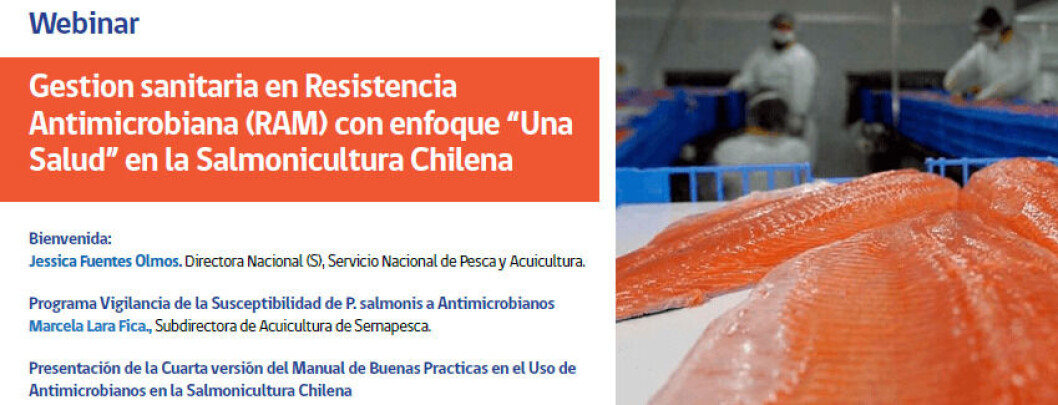 Imagen: Sernapesca. Imagen: Sernapesca.