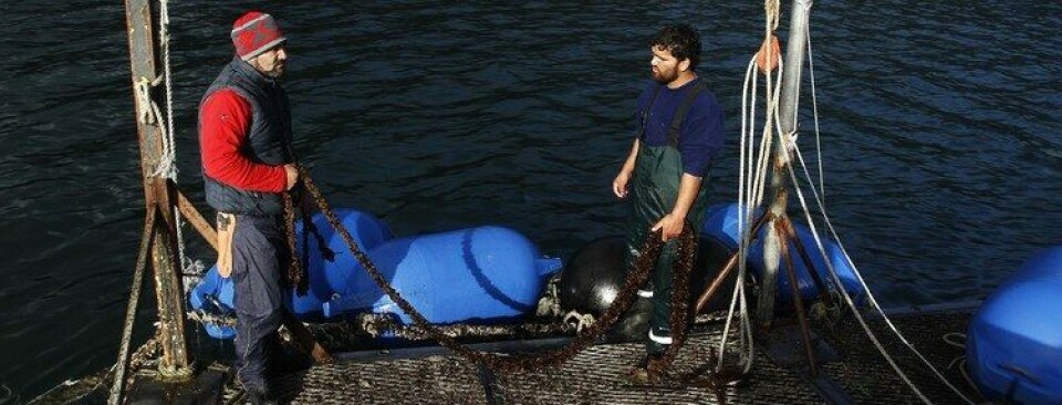 Foto Referencial. Imagen, Subpesca.