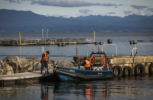 Productor de salmón chileno se posiciona en ranking de empresas más rentables