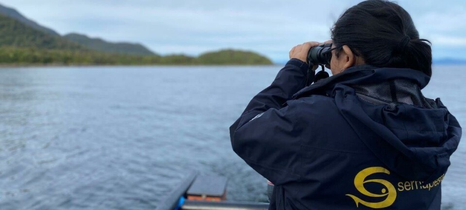 Industria aumenta consumo de antimicrobianos pero disminuye uso de antiparasitarios