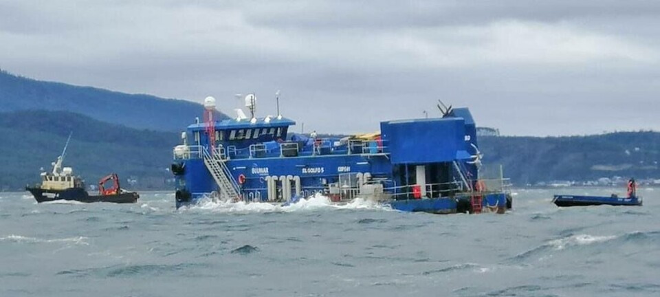 Las acciones concretas de Blumar por el escape de salmones en Estuario de Reloncaví