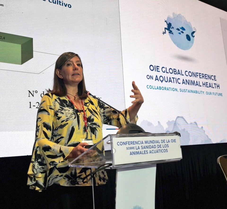 Alicia Gallardo, directora nacional de Sernapesca. Foto: Sernapesca.