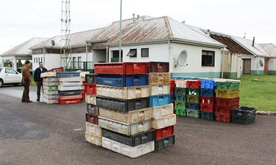 La Autoridad afirmó que reforzará la fiscalización de productos del mar. Foto: Sernapesca.