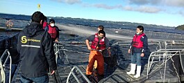 Sernapesca y Armada fiscalizan escape de peces en lago Llanquihue