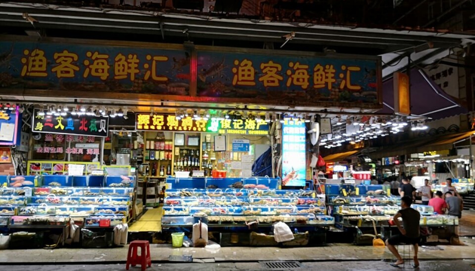 Mercado seafood de Pekín, uno de los mas grandes del mundo