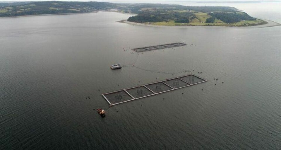 Centro de cultivo Marine Harvest. Foto: Archivo Salmonexpert.