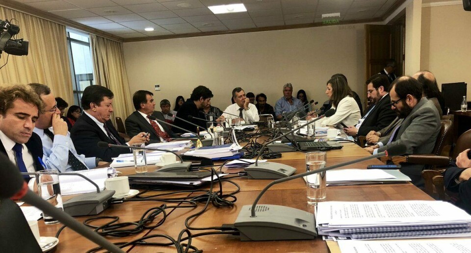 Alicia Gallardo, directora nacional de Sernapesca, exponiendo ayer en la Cámara de Diputados por los escapes de salmones de Ventisqueros. Foto: Cámara de Diputados.
