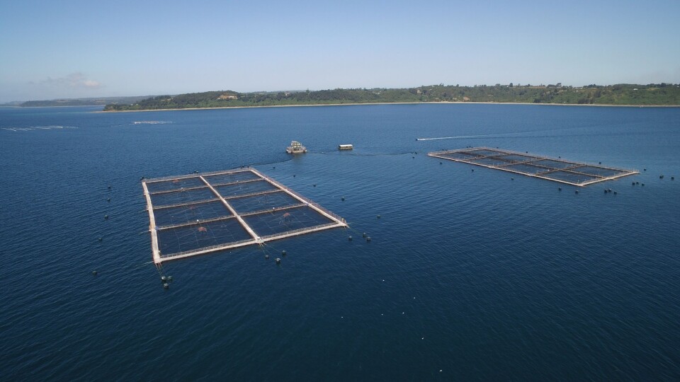 Centro de cultivo de salmón Huenquillahue de AquaChile. Foto: AquaChile.
