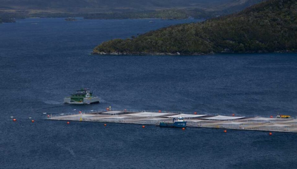 Funcionarios de Subsecretaría para las Fuerzas Armadas denuncian exclusión del Gobierno