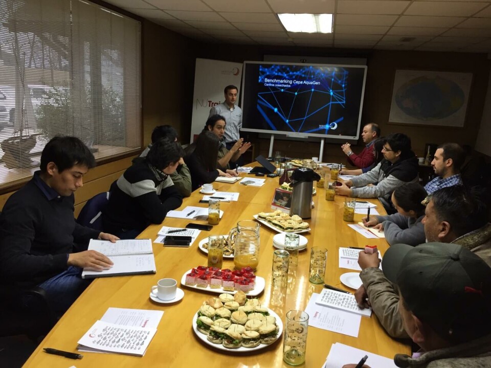 Los asistentes pudieron revisar las presentaciones relacionadas con Dietas para Reproductores y Patrones de Alimentación e Innovación en Dietas de Engorda. Foto: Skretting Chile.