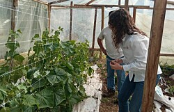 Skretting Chile colabora para innovadora solución de cultivo hidropónico