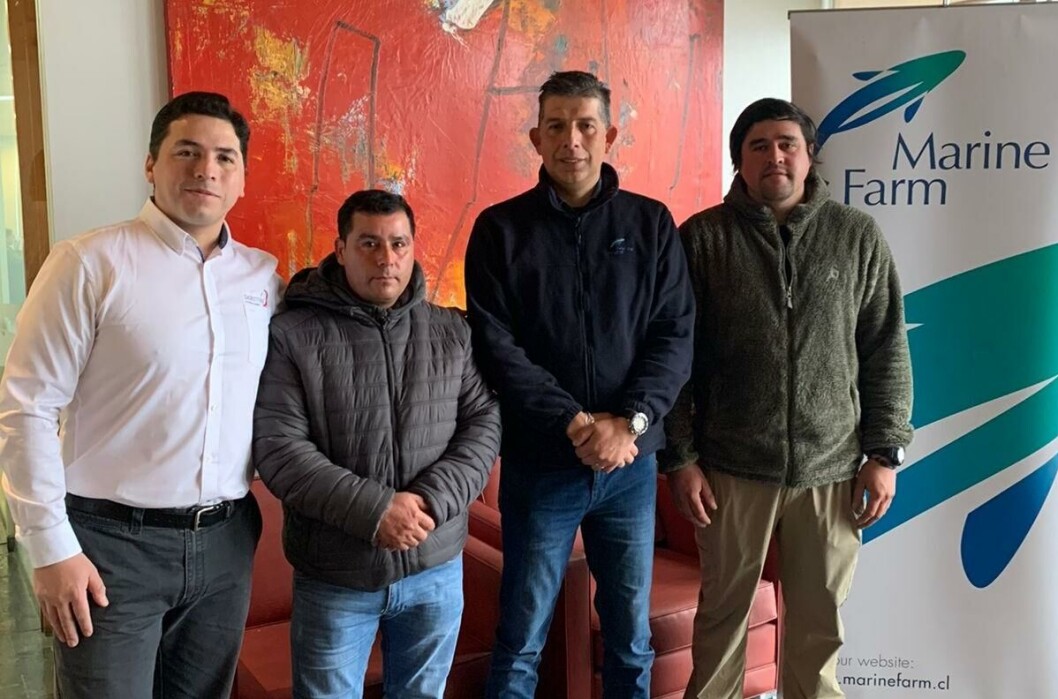 Equipo del centro Capeahuapi, de Marine Farm. Foto: Skretting Chile. Equipo del centro Capeahuapi, de Marine Farm. Foto: Skretting Chile.