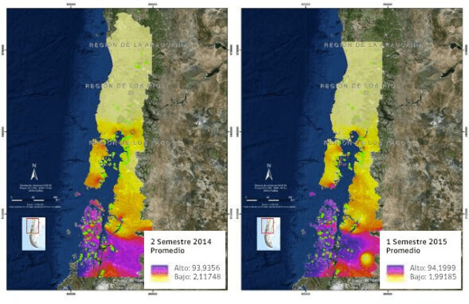 Mapa N°1 y 2. Mapa de tipo térmico que indica probabilidad promedio de riesgo de brote de SRS de las tres especies, variando la intensidad del color según la intensidad del riesgo asociado al brote de SRS.