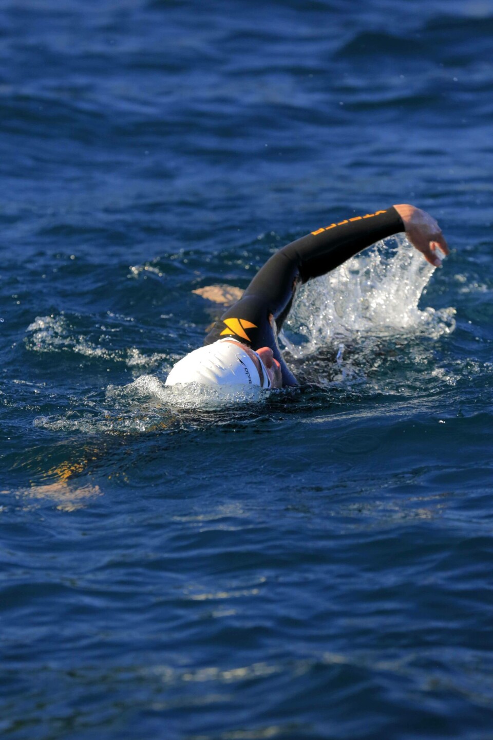 Skretting será el auspiciador principal de la Triatlón de los Volcanes