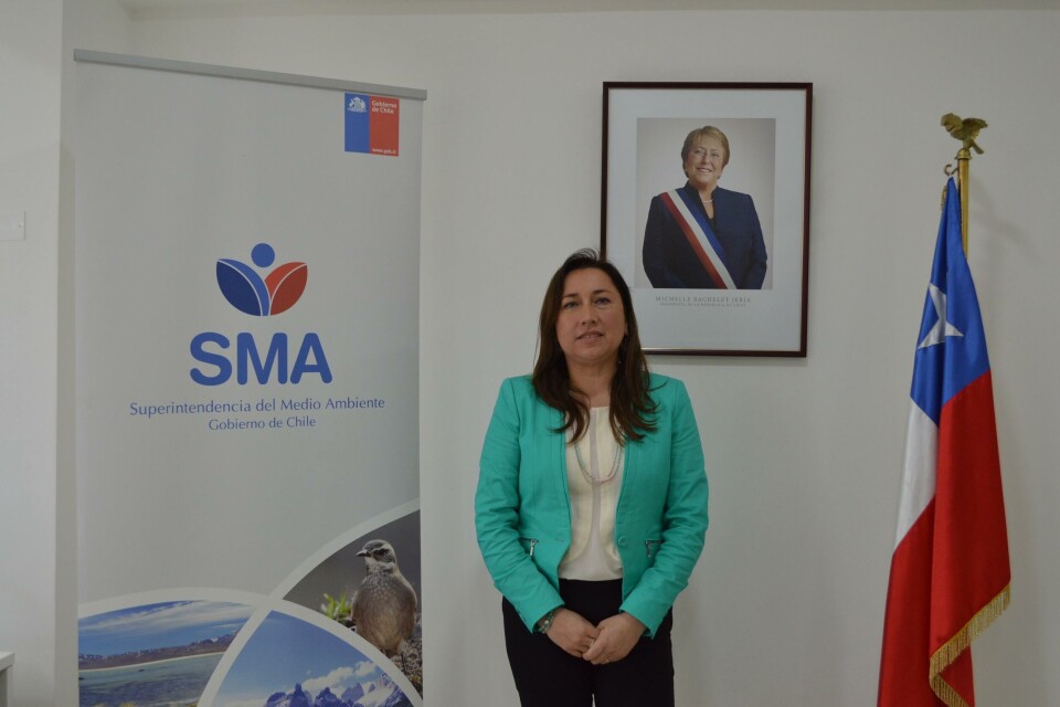 Ivonne Mansilla, jefe oficina SMA Región de Los Lagos. Foto: SMA Santiago.