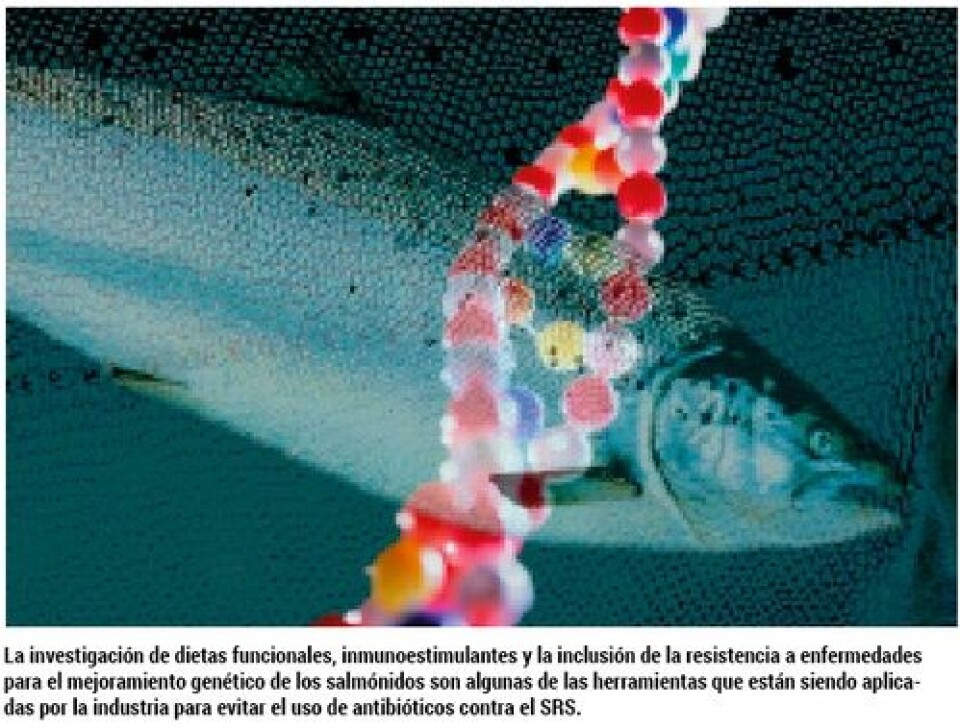 SRS: una enfermedad que clama por nuevas soluciones