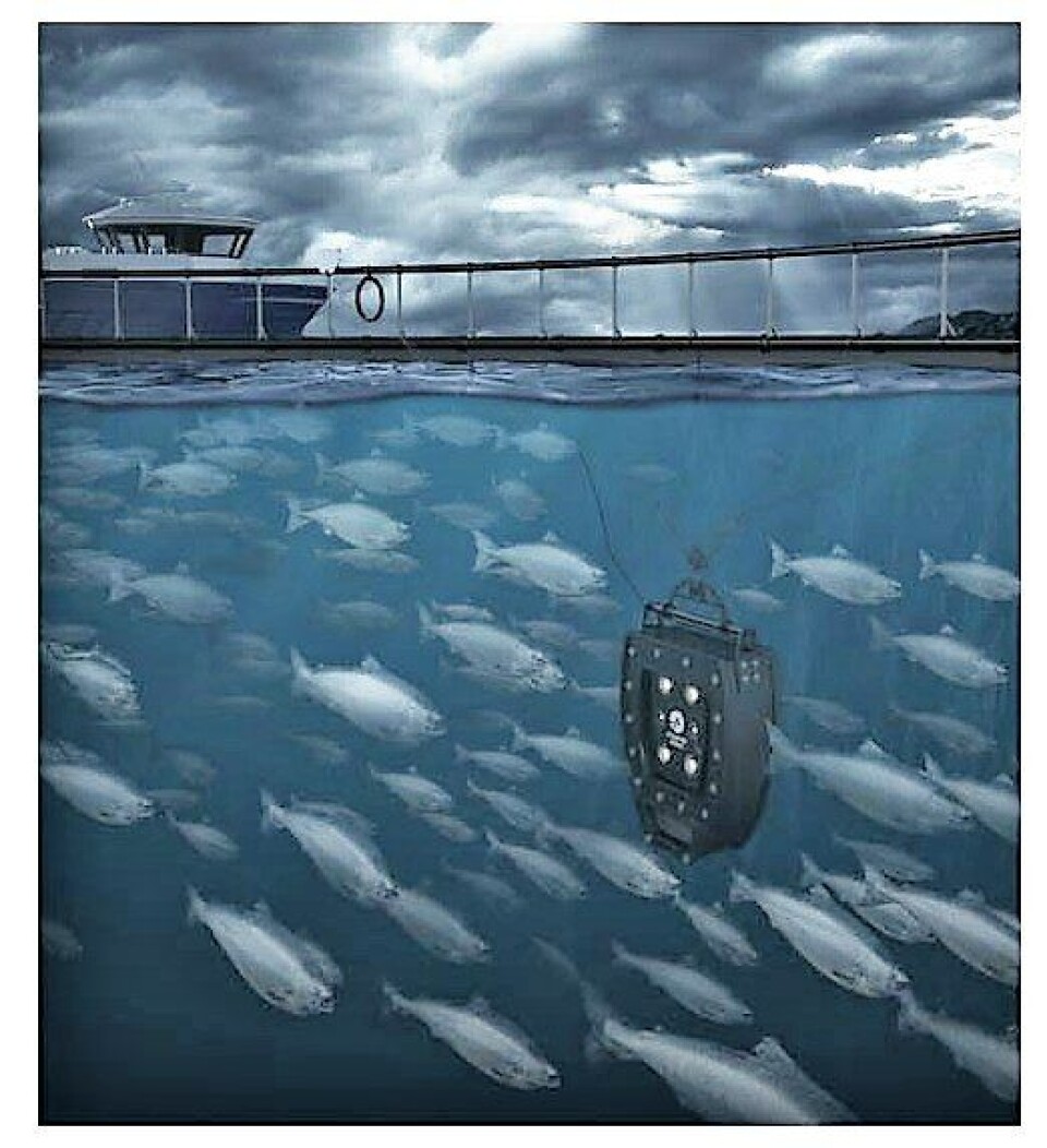 Tecnología AkvaVision. Foto: Storvik Aqua.