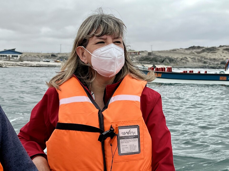 Subsecretaria de Pesca y Acuicultura, Alicia Gallardo. Foto: Subpesca.