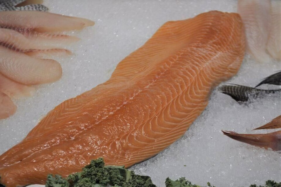La trucha se comenzará a vender la próxima semana en la cadena de supermercados Auchan en Francia. Foto: Daniella Balin, Salmonexpert.