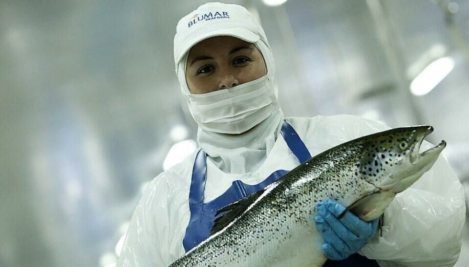Foto: Archivo Salmonexpert.